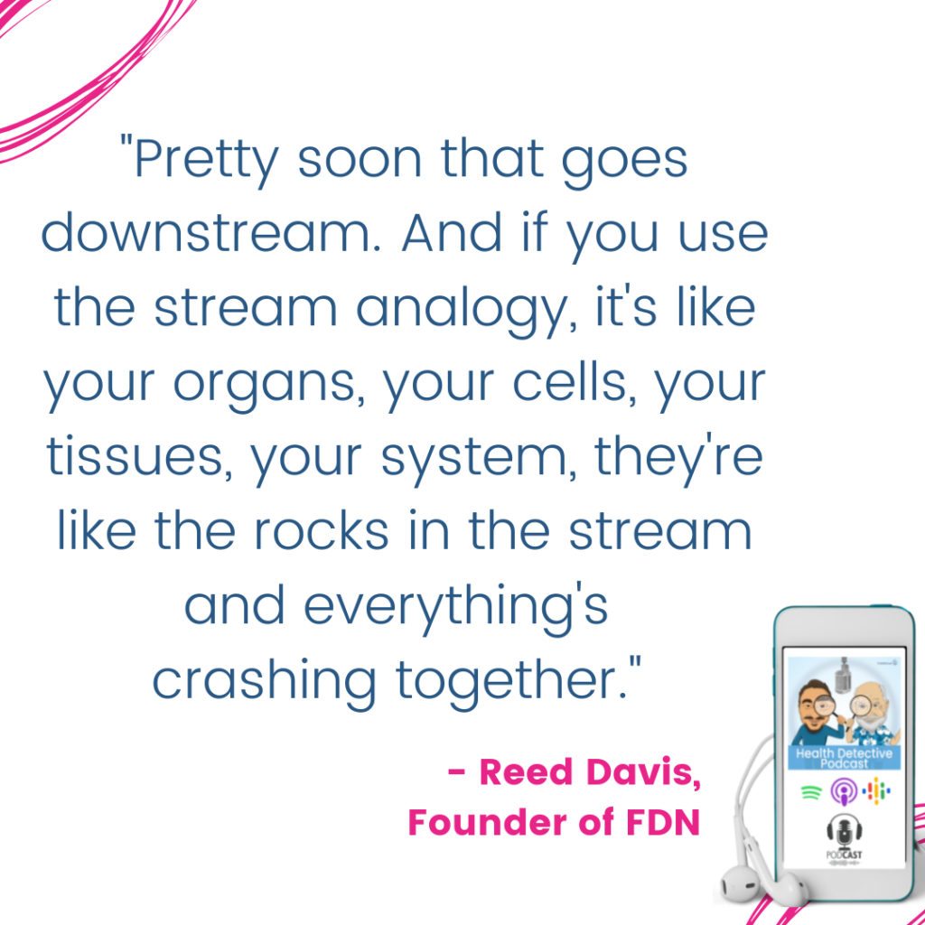 STREAM ANALOGY, BODY ORGANS ARE THE ROCKS, EVERYTHING'S CRASHING TOGETHER, 100th episode, Health Detective Podcast, FDNthrive