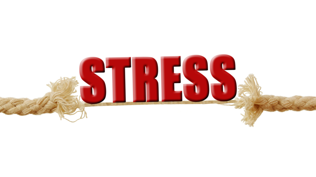 How Chronic Stress May Be Making You Sick- a frayed rope with the world stress in red
